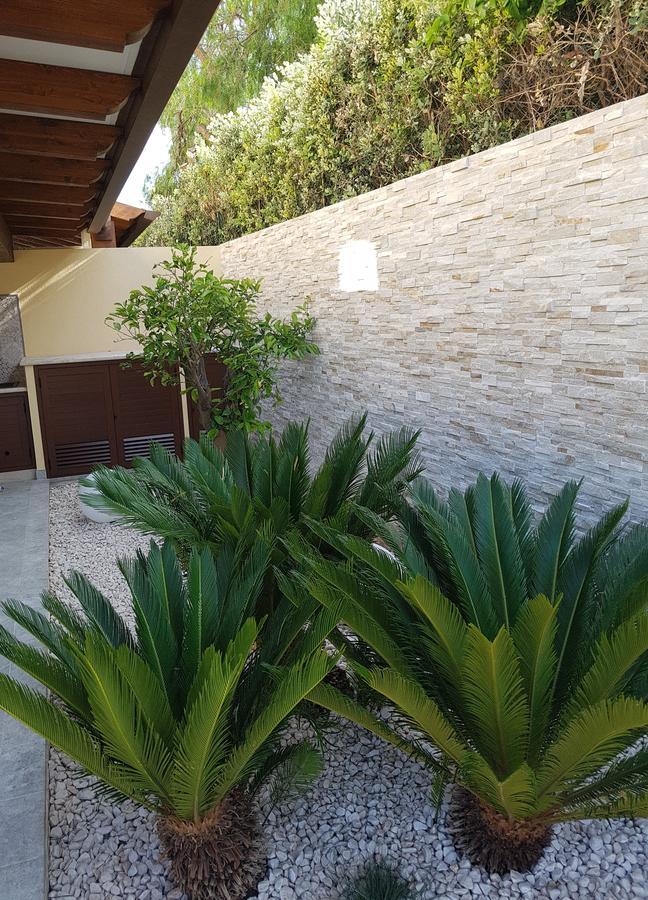 B&B Aloe Comfort Rooms San Vito Lo Capo Exterior photo