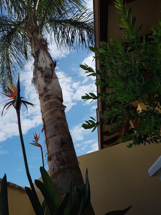 B&B Aloe Comfort Rooms San Vito Lo Capo Exterior photo