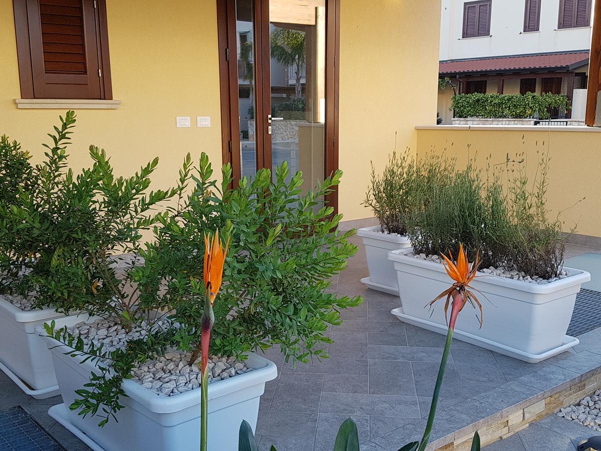 B&B Aloe Comfort Rooms San Vito Lo Capo Exterior photo